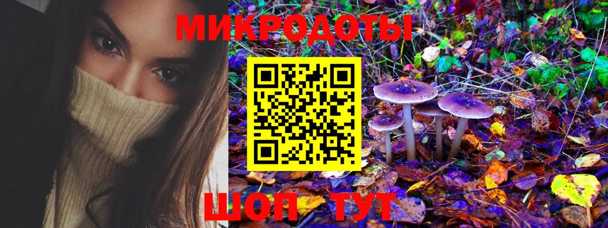 Псилоцибиновые грибы GOLDEN TEACHER Нижний Тагил