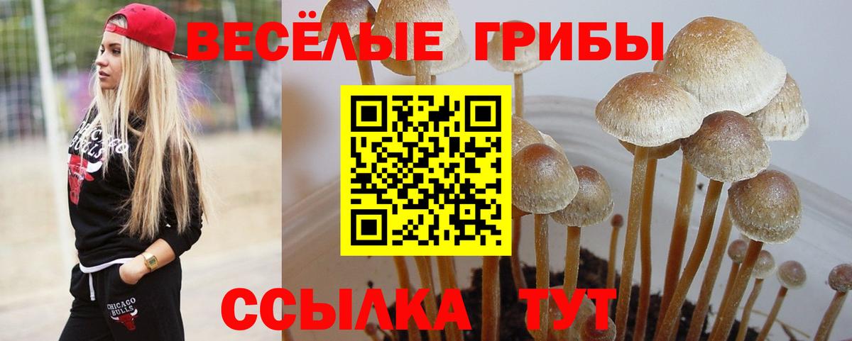 Галлюциногенные грибы Magic Shrooms  Вход с VPN  Нижний Тагил 